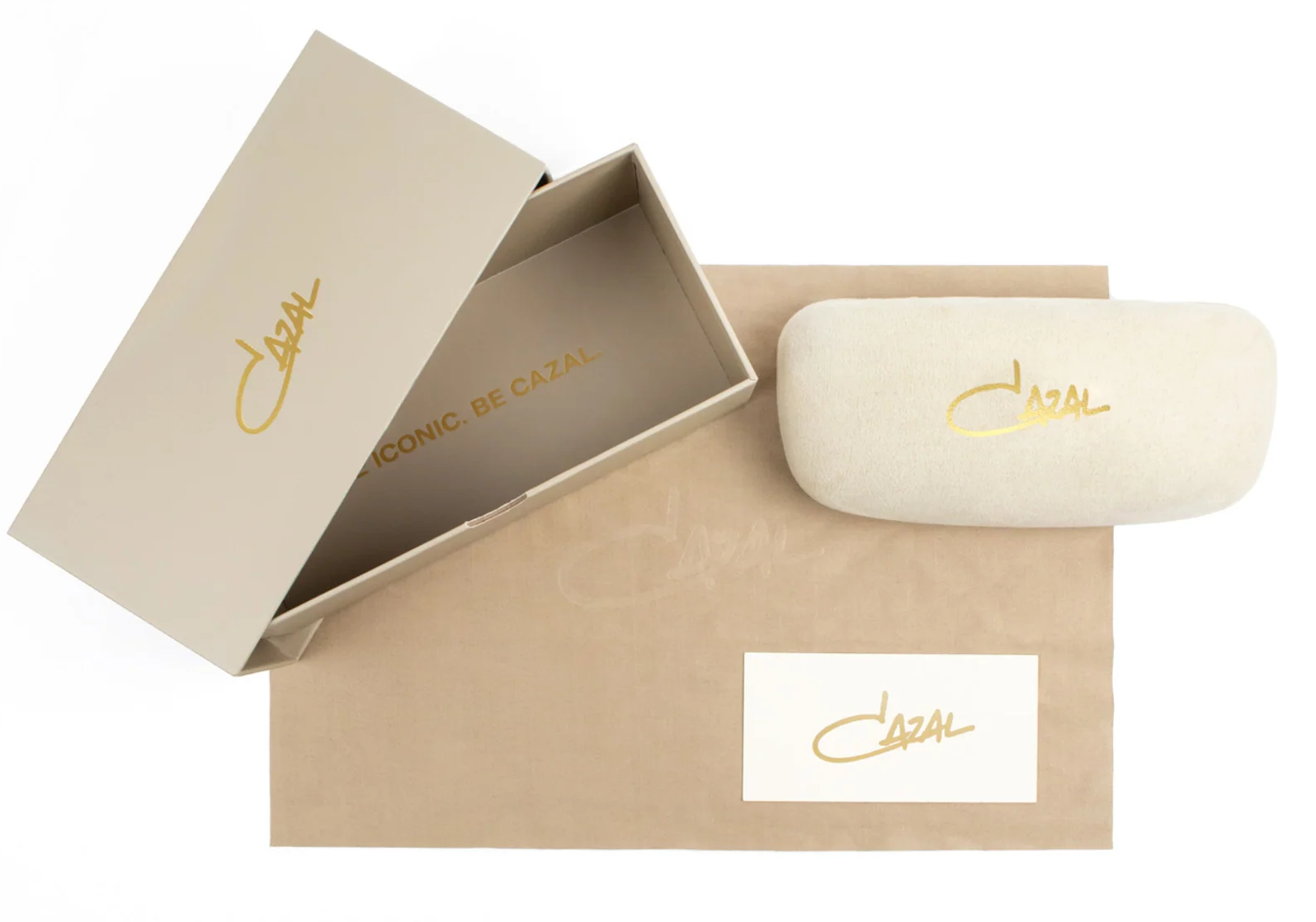 Case_CazalWhite