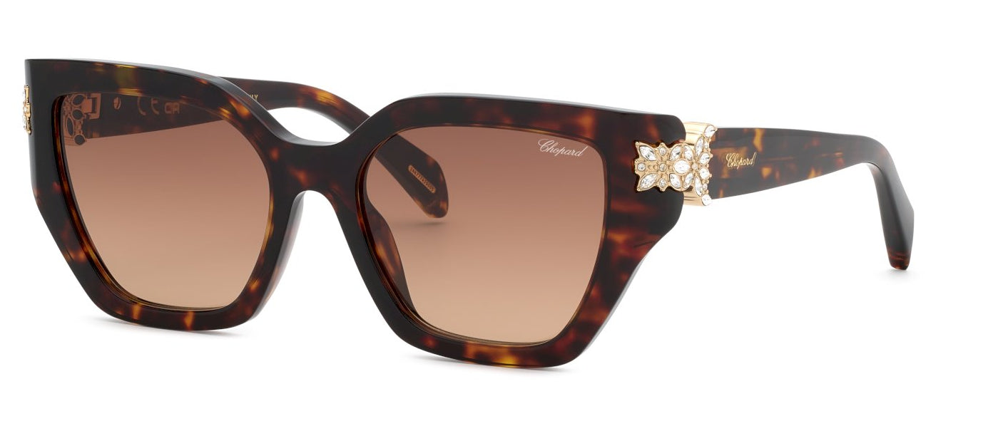 Color_0909 - Shiny Classic Havana / Brown Gradient Brown (AR)