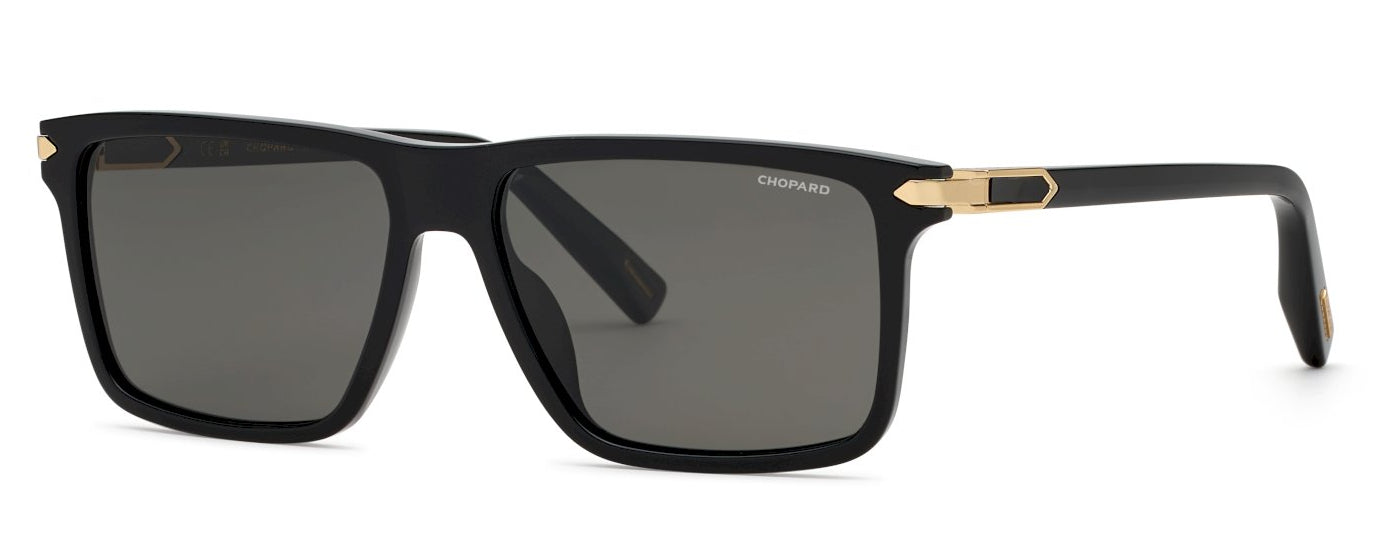 Color_700P - Shiny Black / Smoke Polarized (AR)