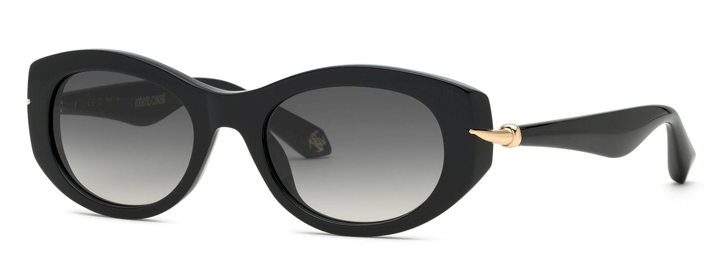 Color_700Y - Shiny Black / Smoke Gradient
