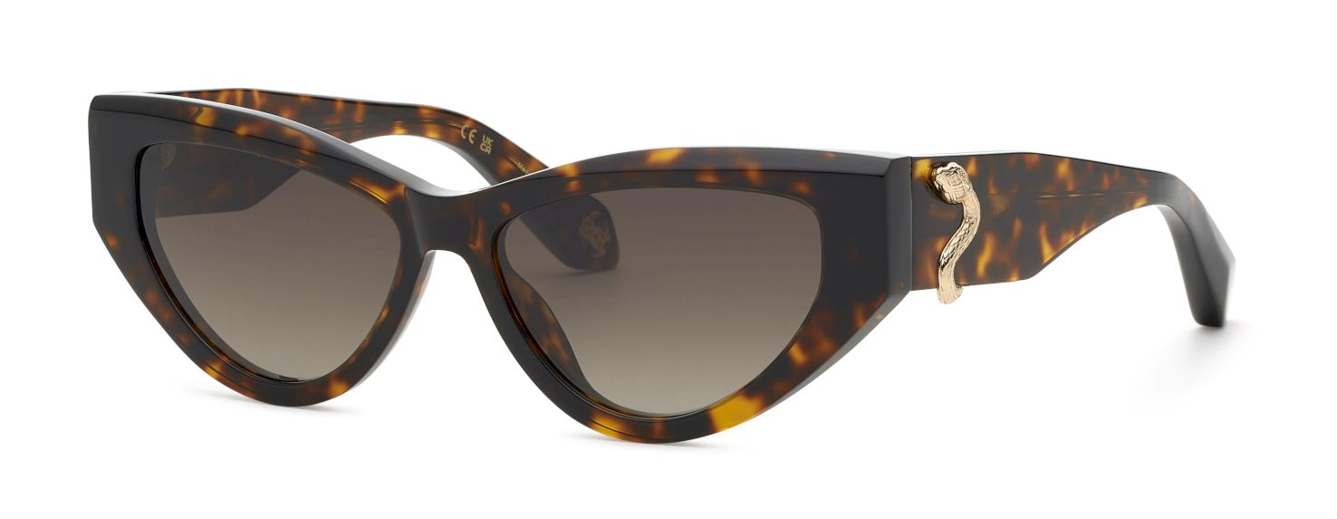 Color_0743 - Shiny Brown - Yellow Havana / Brown Gradient Brown