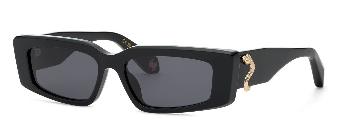 Color_0700 - Shiny Black / Smoke