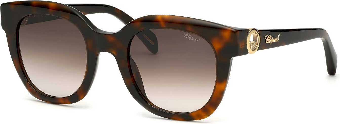 Color_01AY - SHINY DARK HAVANA