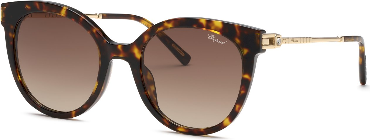 Color_04BL - DARK HAVANA