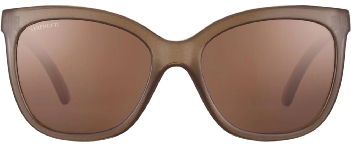 Color_8970 - Shiny Espresso / Brown Photochromic / Mineral Polarized Drivers Cat 2 to 3