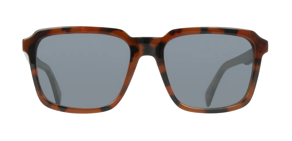 Color_203 - Brown - Havana Sand / Blue
