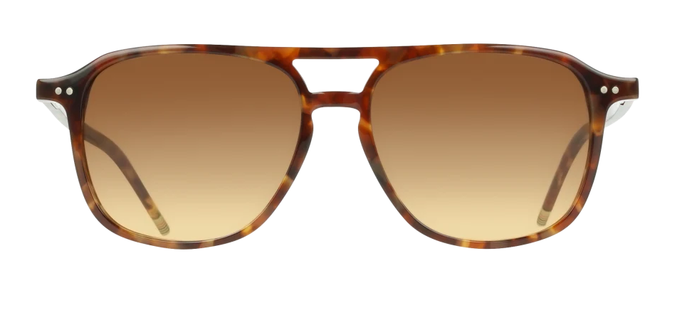 Color_217 - Havana Brown / Brown Gradient