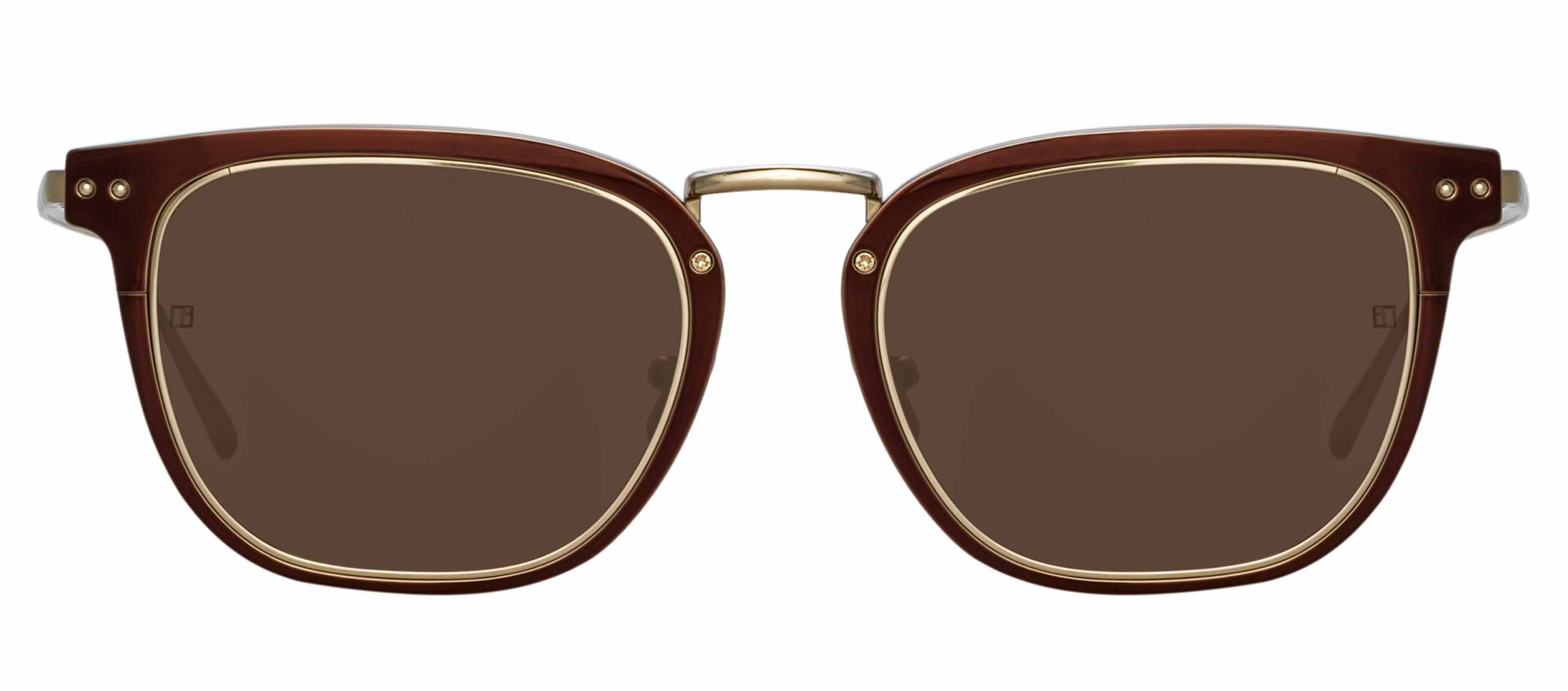 Color_LFL1114C3SUN - Carson D-Frame Sunglasses in Light Gold and Brown