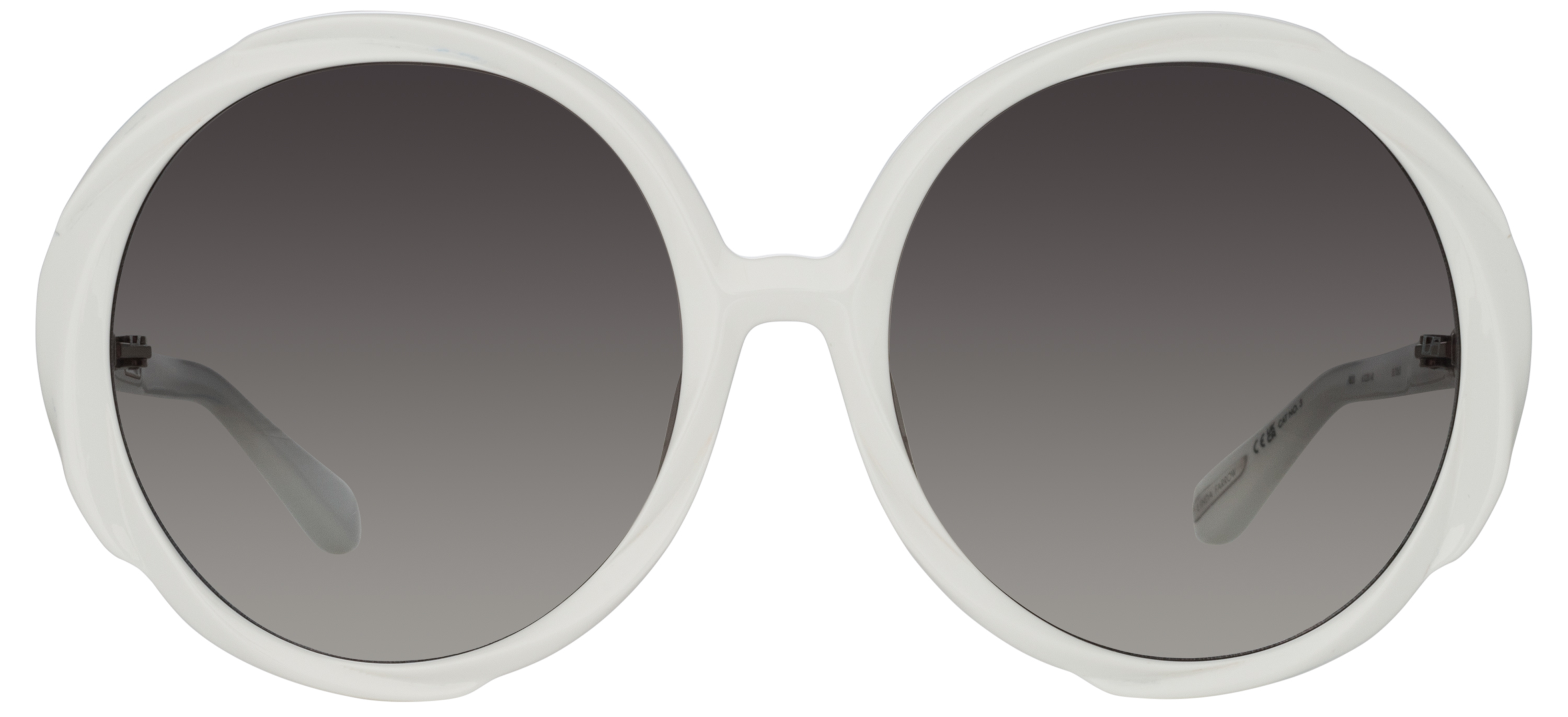Color_LFL1356C5SUN - Otavia Oversized Sunglasses in White