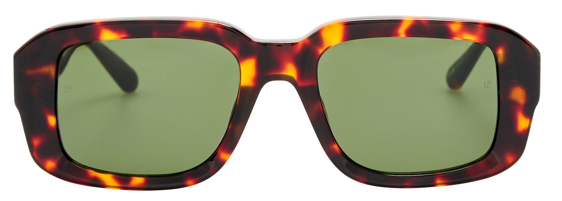 Color_LFL1661C5SUN - Delmare Oversized Sunglasses Dark T-Shell and Green