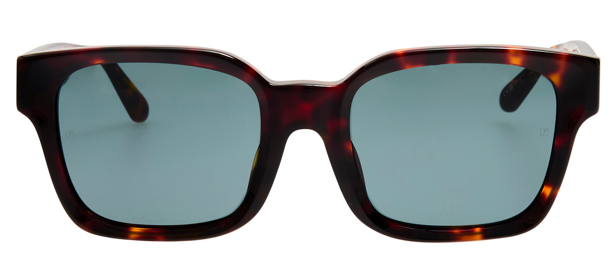 Color_LFL1561C2SUN - Nathan D-Frame Sunglasses in Tortoise Shell and Deep Green