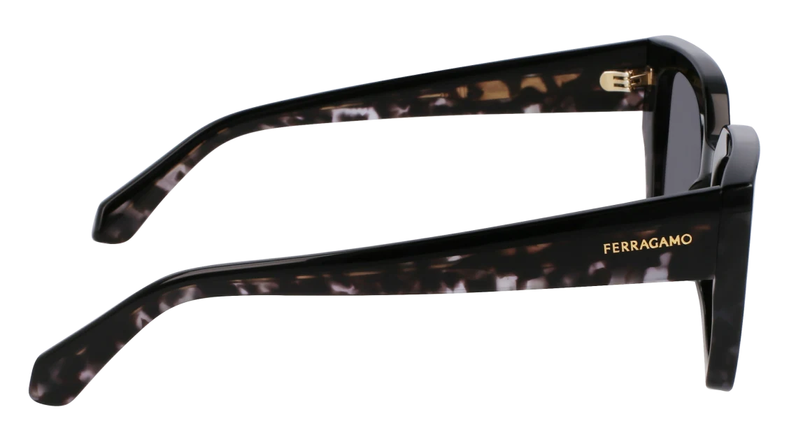 Color_004 - Black / Black Tortoise