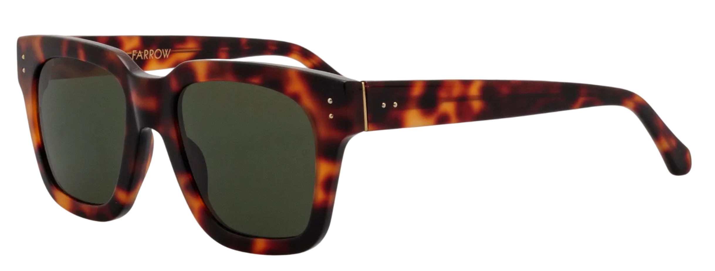 Color_LFLC71C95SUN - Max D-Frame Sunglasses in Tortoise Shell and Green