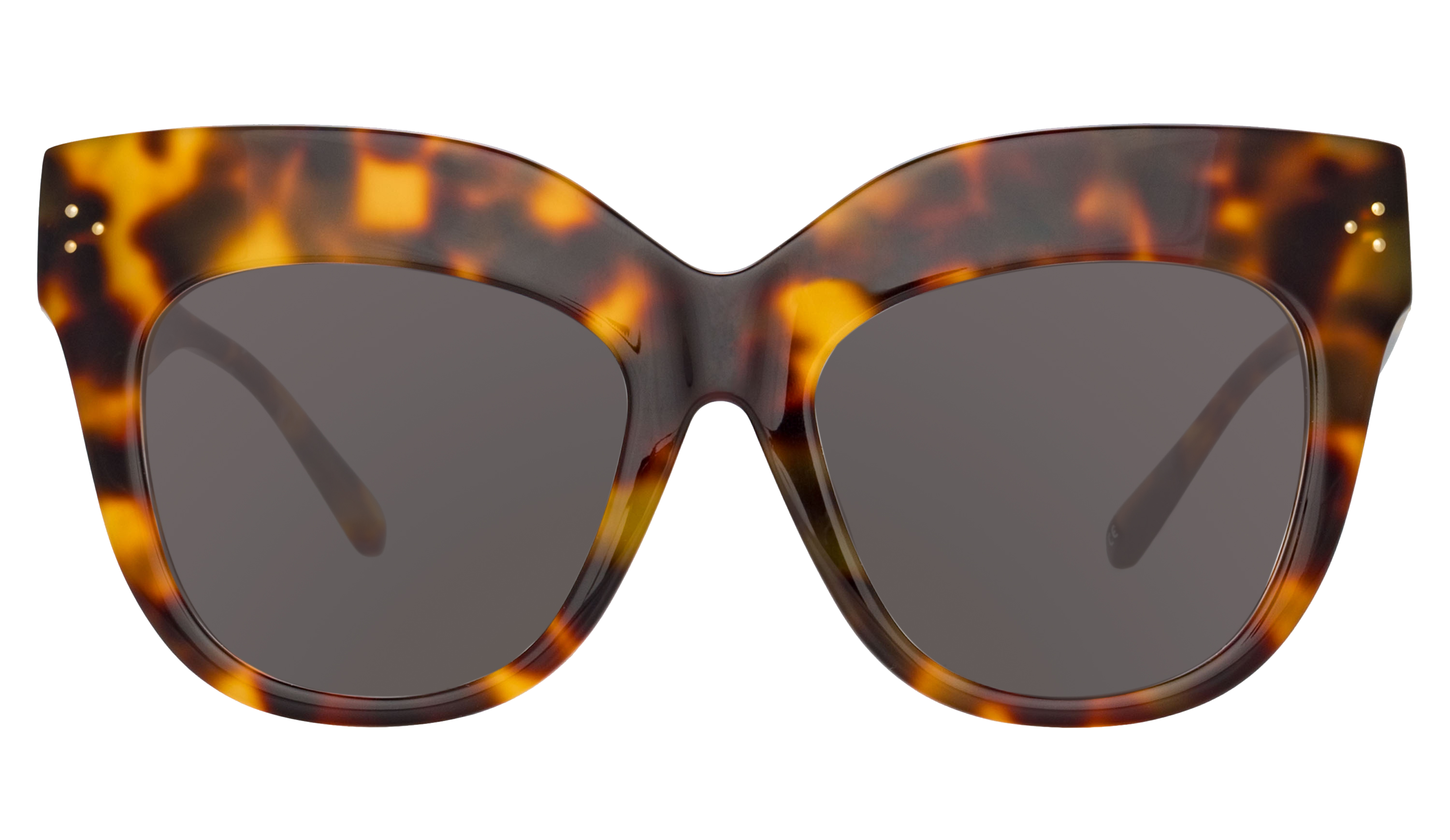 Color_LFLC1049C2SUN - Dunaway Oversized Sunglasses in Tortoise Shell and Brown