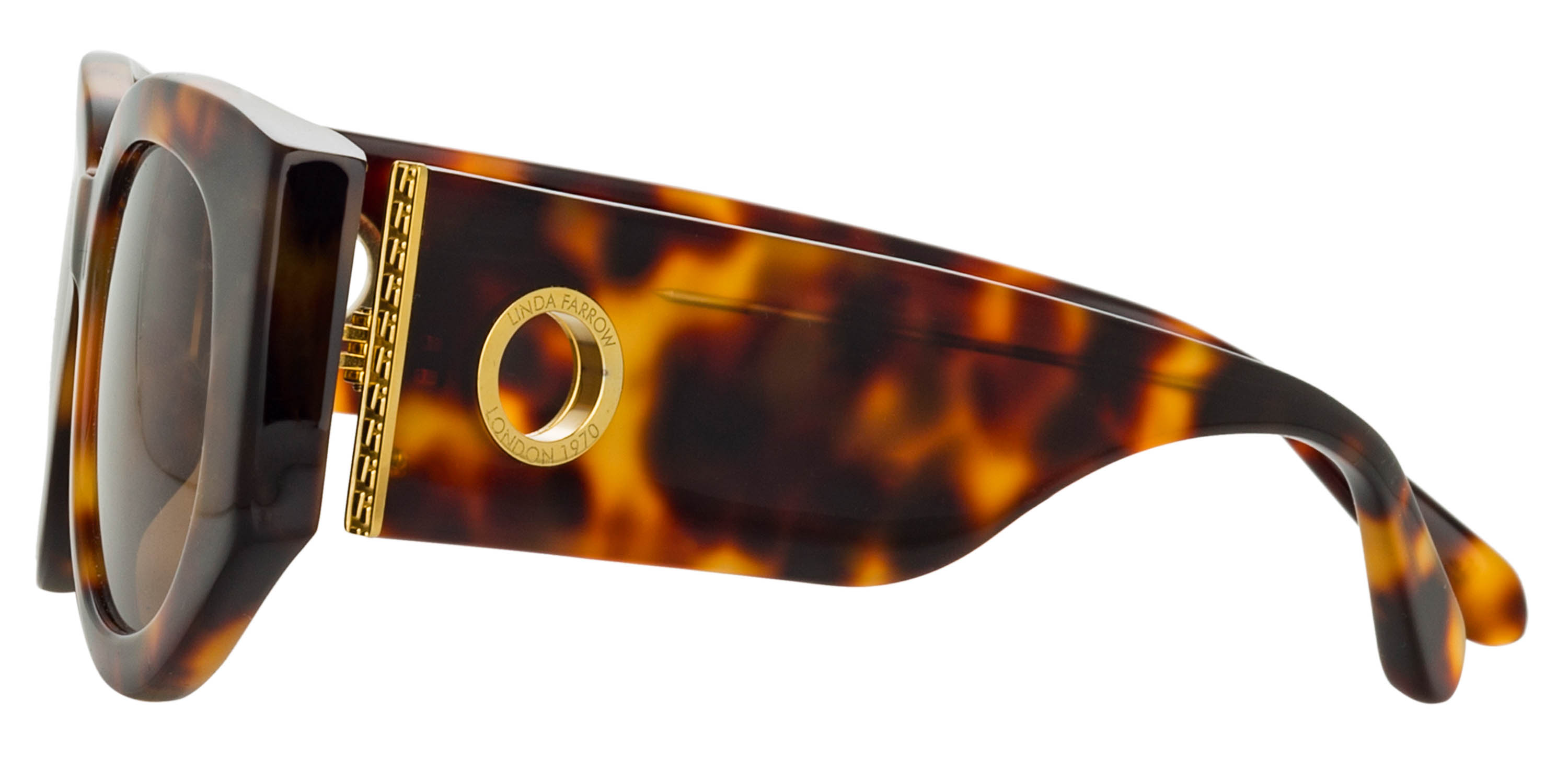 Color_LFLC1059C2SUN - Debbie D-Frame Sunglasses in T-Shell and Solid Brown