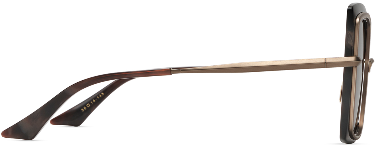 Color_DTS503-58-06 - Desert Abalone - Champagne - Woodland and Brown