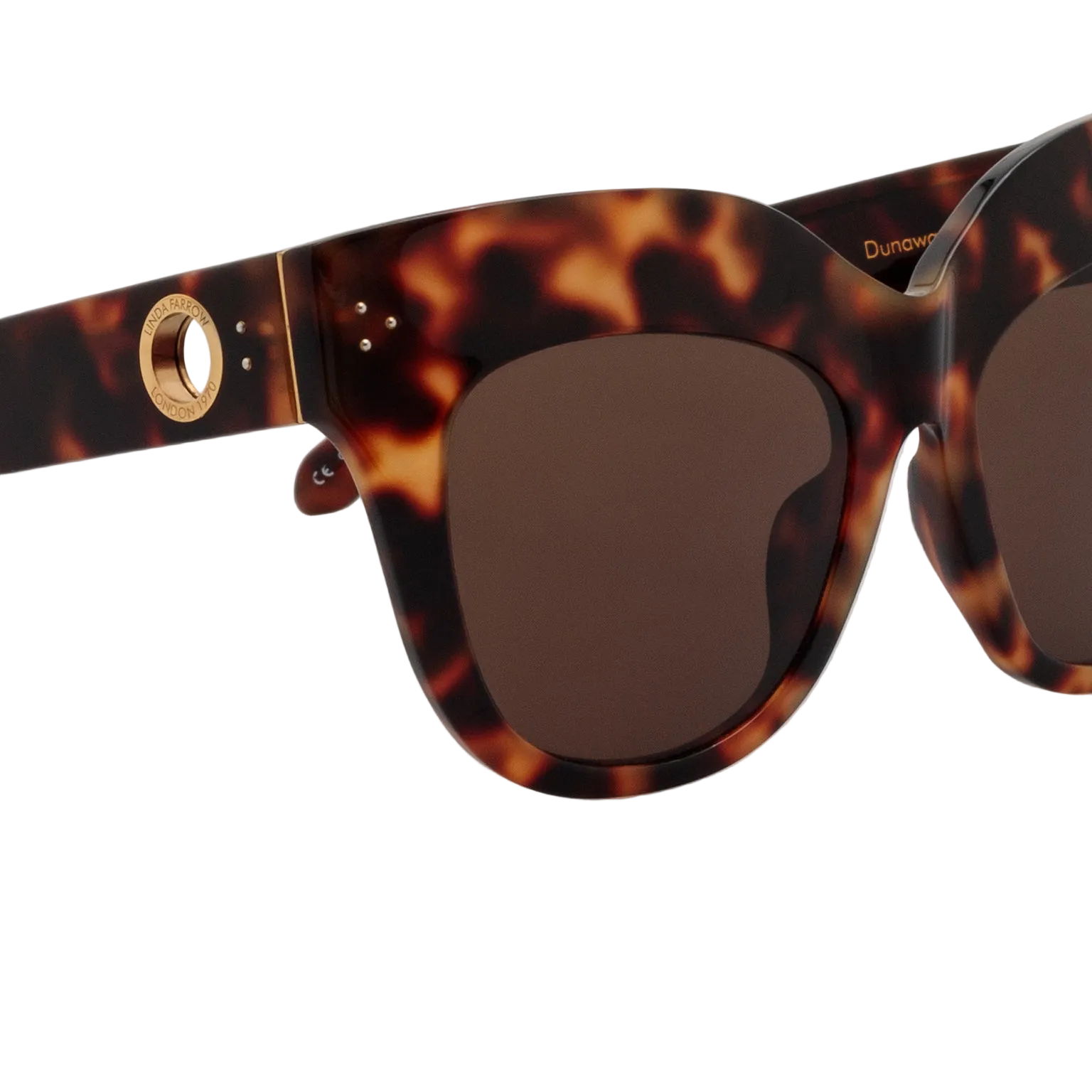Color_LFLC1049C2SUN - Dunaway Oversized Sunglasses in Tortoise Shell and Brown