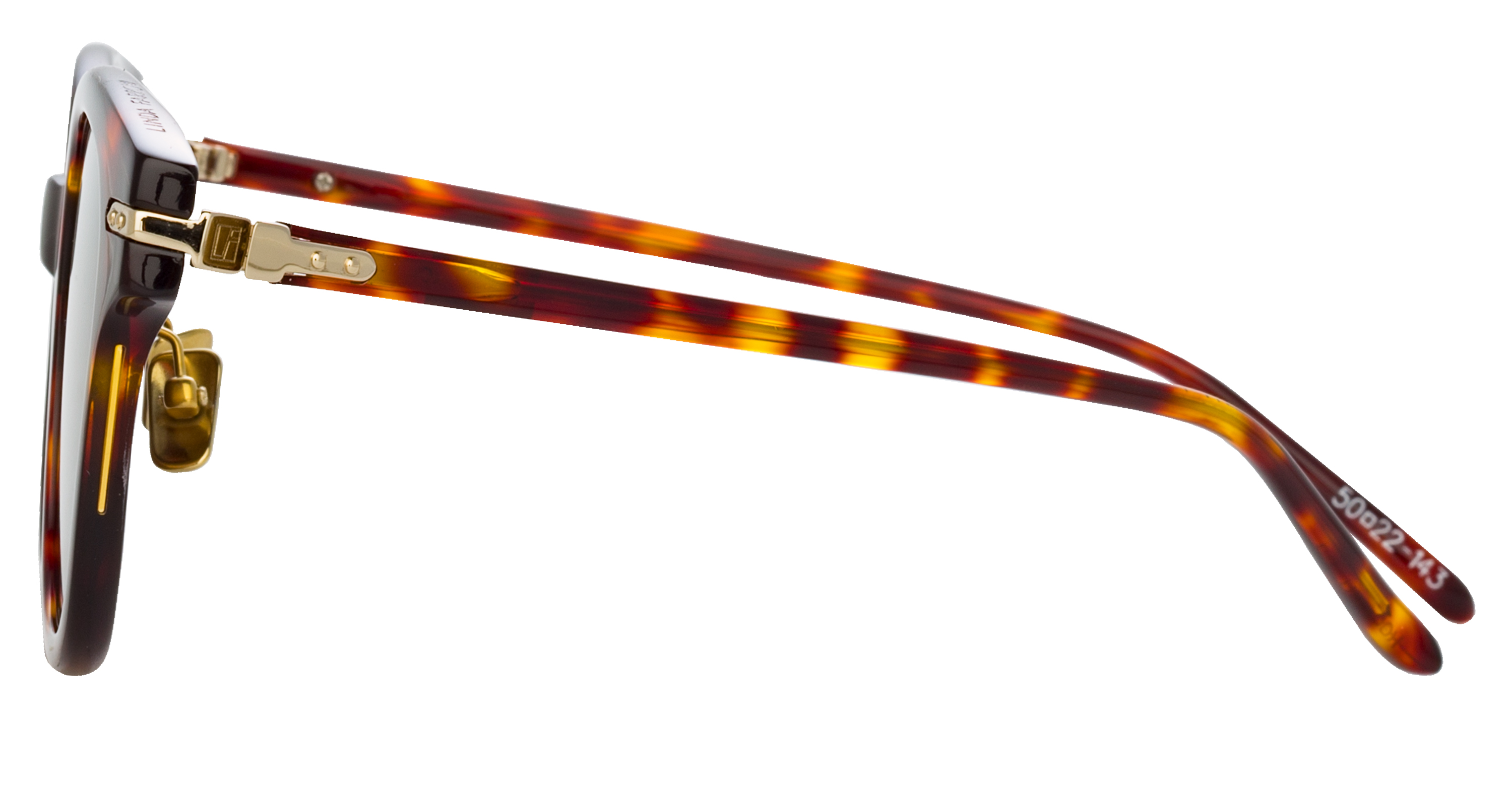 Color_LF42AC5SUN - Atkins D-Frame Sunglasses in Tortoiseshell