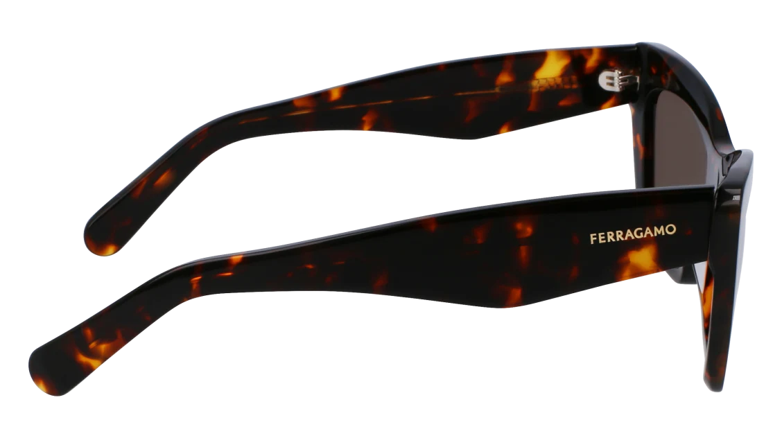 Color_242 - Dark Tortoise