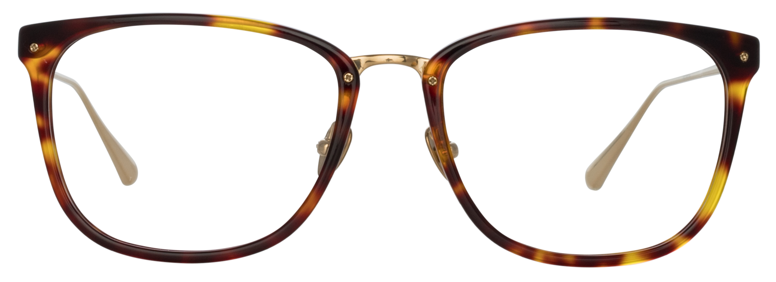 Color_LFL1457C4OPT - Cassin D-Frame Eyeglasses in Dark T-Shell / Light Gold and Clear