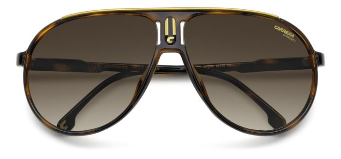 Color_WR9 - Brown Havana / HA - Brown Shaded Gradient