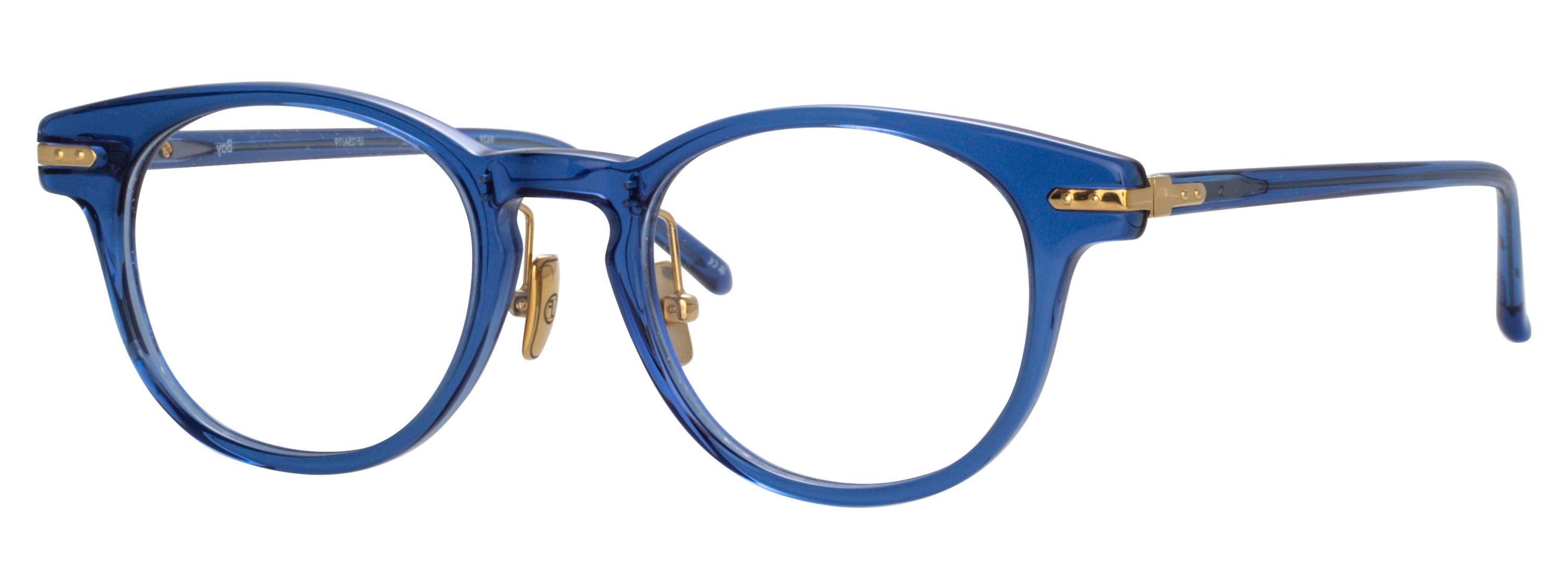 Color_LF25AC19OPT - Bray D-Frame Eyeglasses in Blue and Clear