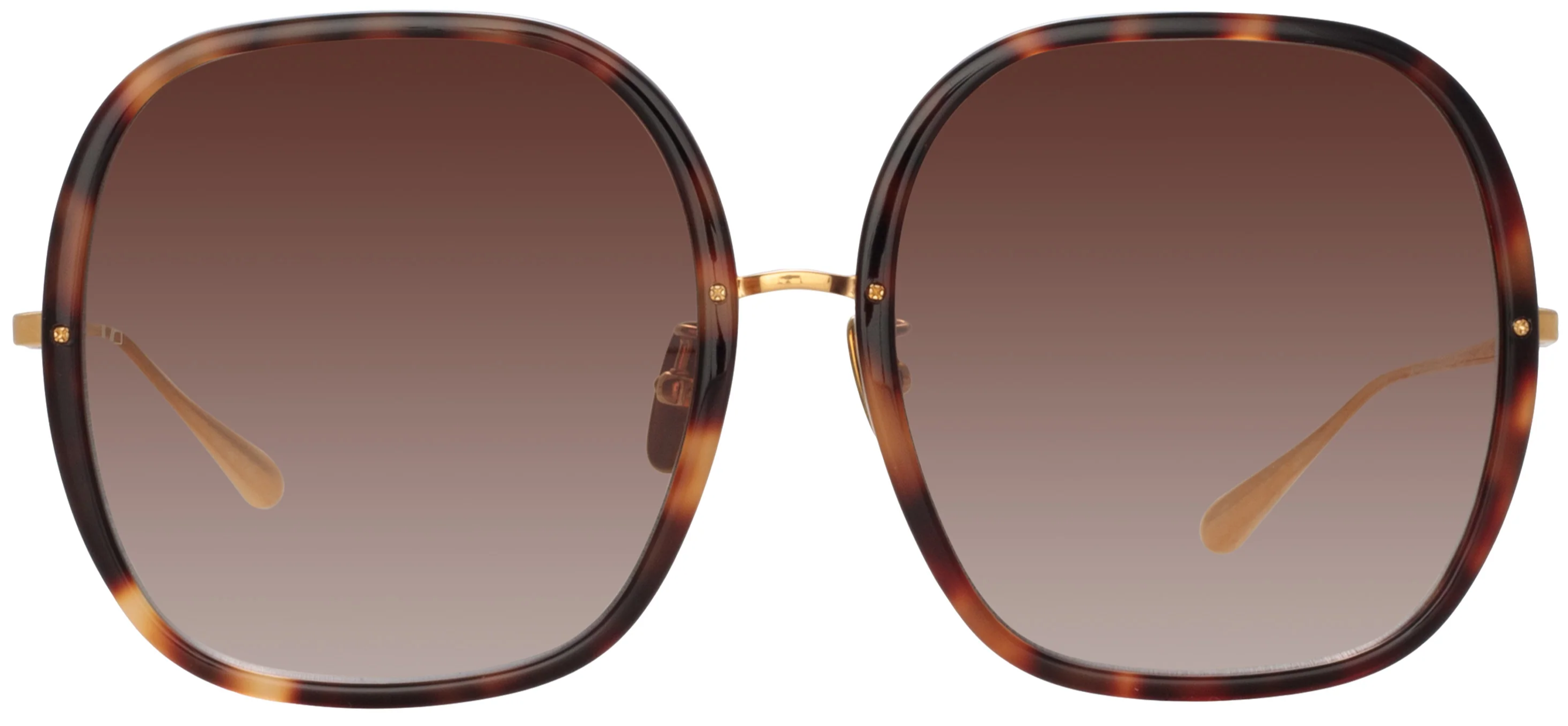 Color_LFL1405C2SUN - Celia Oversized Sunglasses in Tortoise Shell
