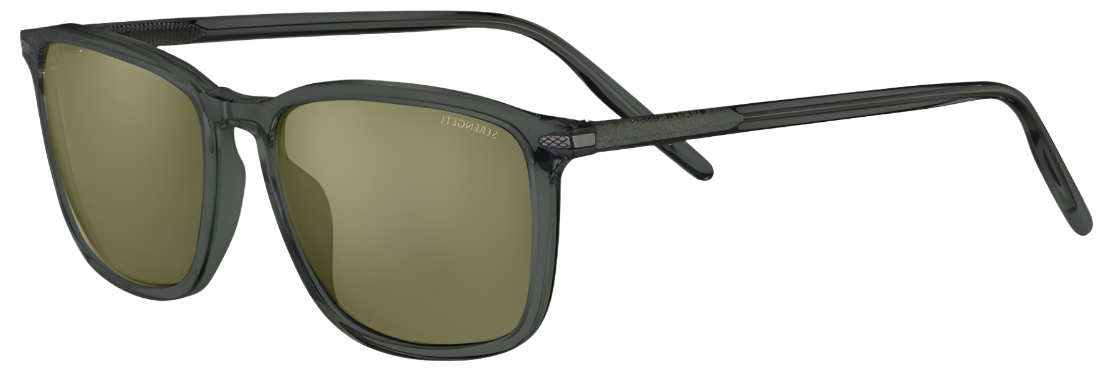 Color_SS485005 - Shiny Translucent Dar - Mineral Polarized Cat 2 to 3