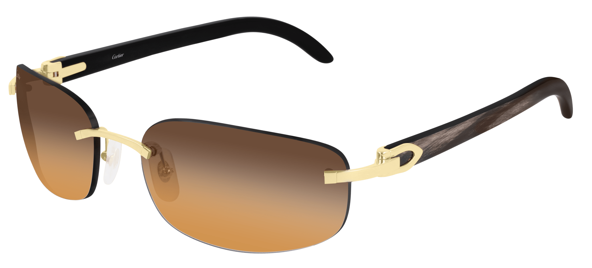 Color_CT0020RS-001 - GOLD - BLACK HORN / BROWN
