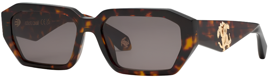 Color_0743 - SHINY BROWN/YELLOW HAVANA - BROWN