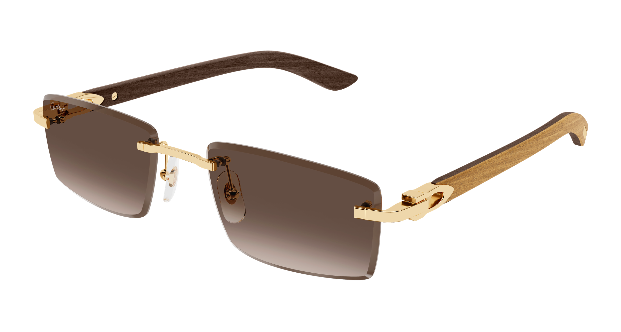 Color_CT0582S-003 - GOLD - BROWN