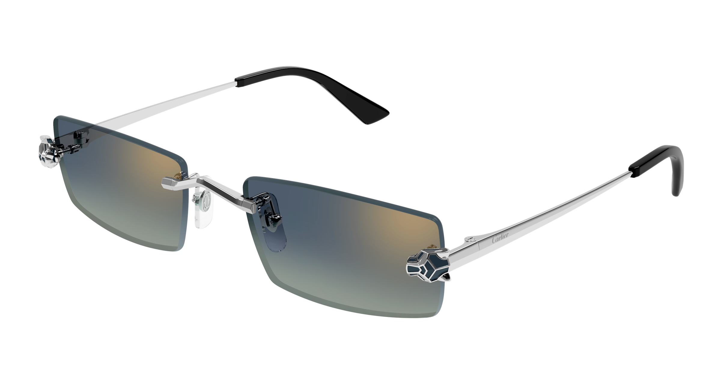 Color_CT0598S-003 - SILVER - BLUE