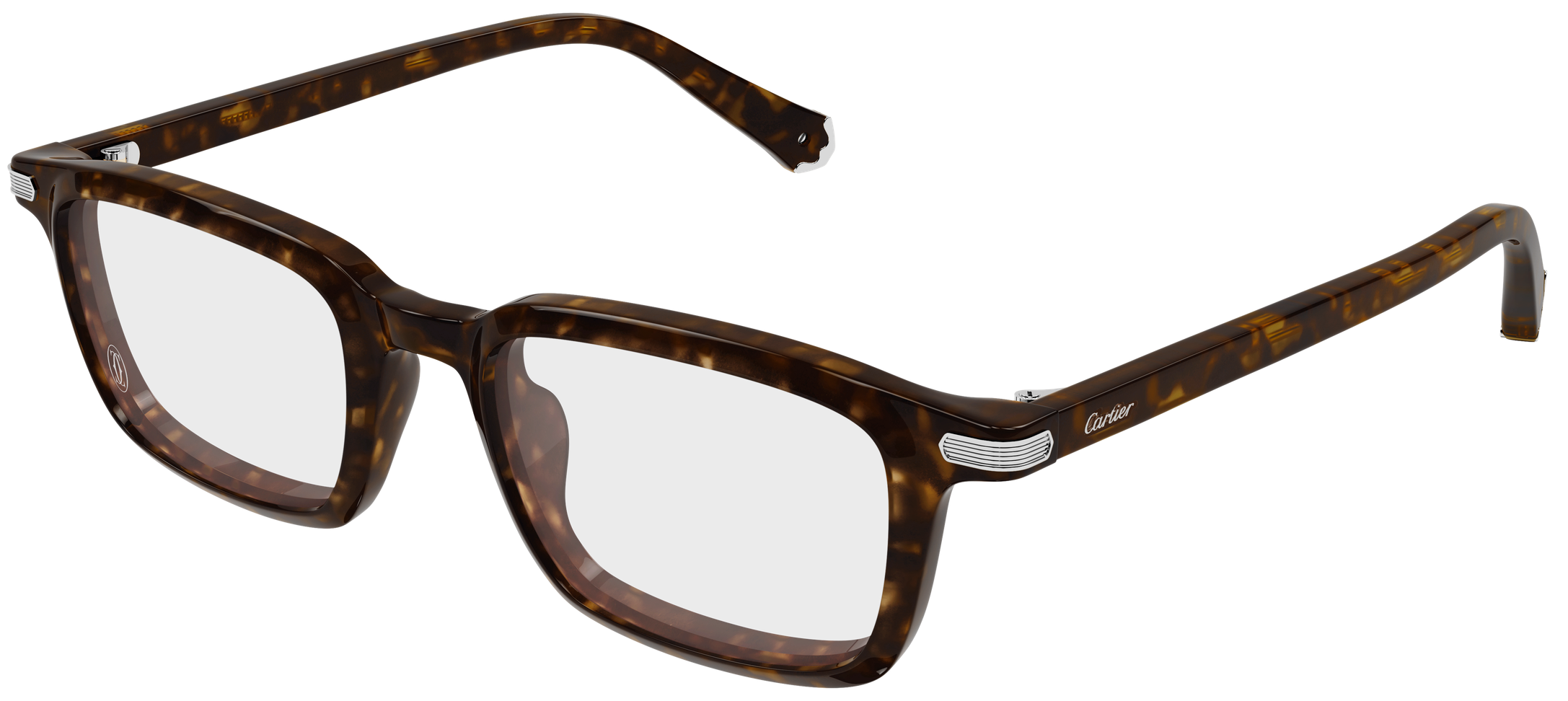 Color_CT0586O-006 - HAVANA - TRANSPARENT / SIZE: 53mm - 19mm - 145mm