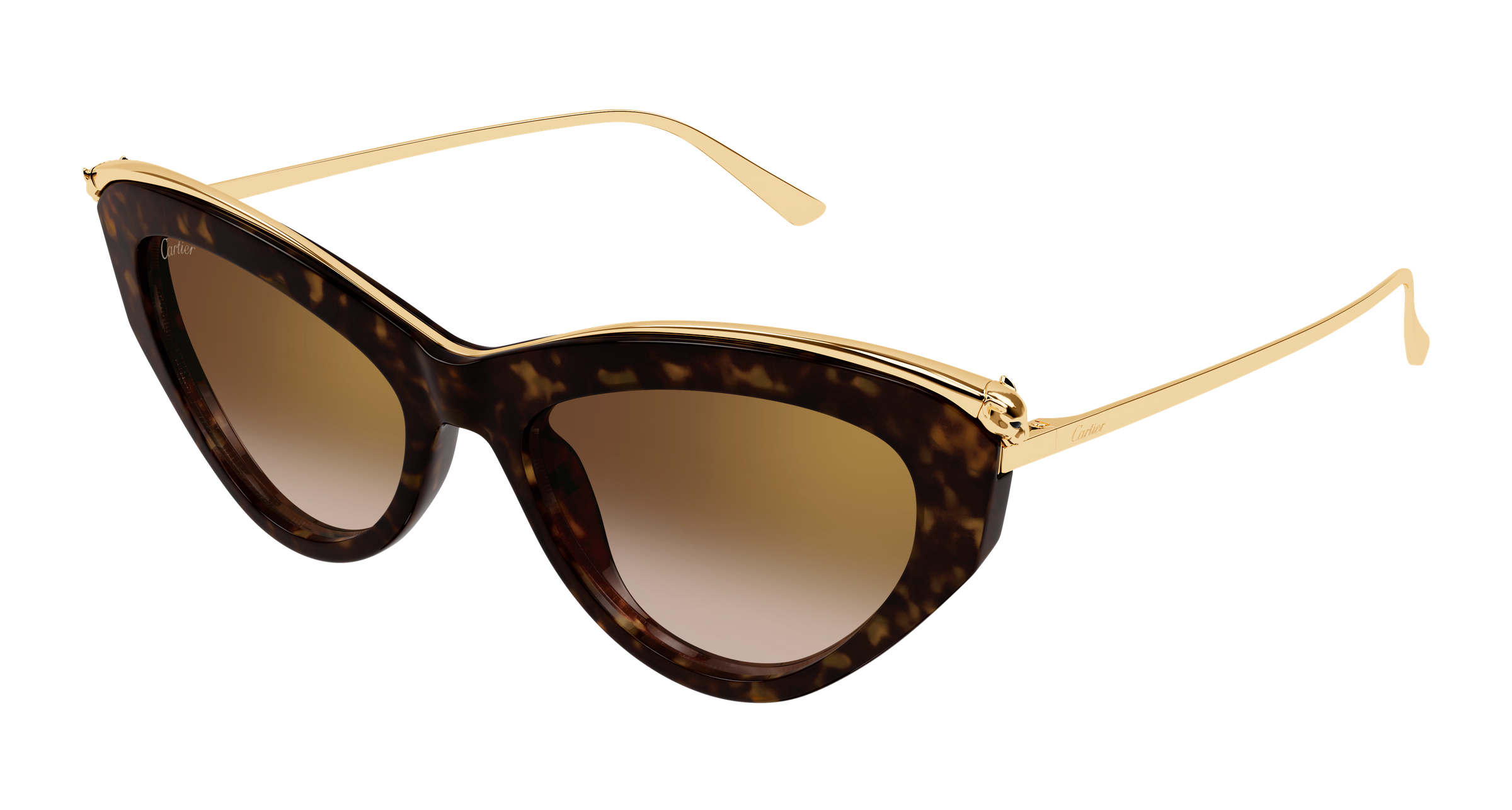 Color_CT0596S-002 - HAVANA - BROWN