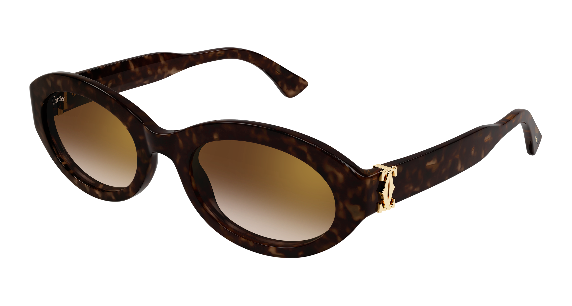 Color_CT0588S-002 - HAVANA - BROWN