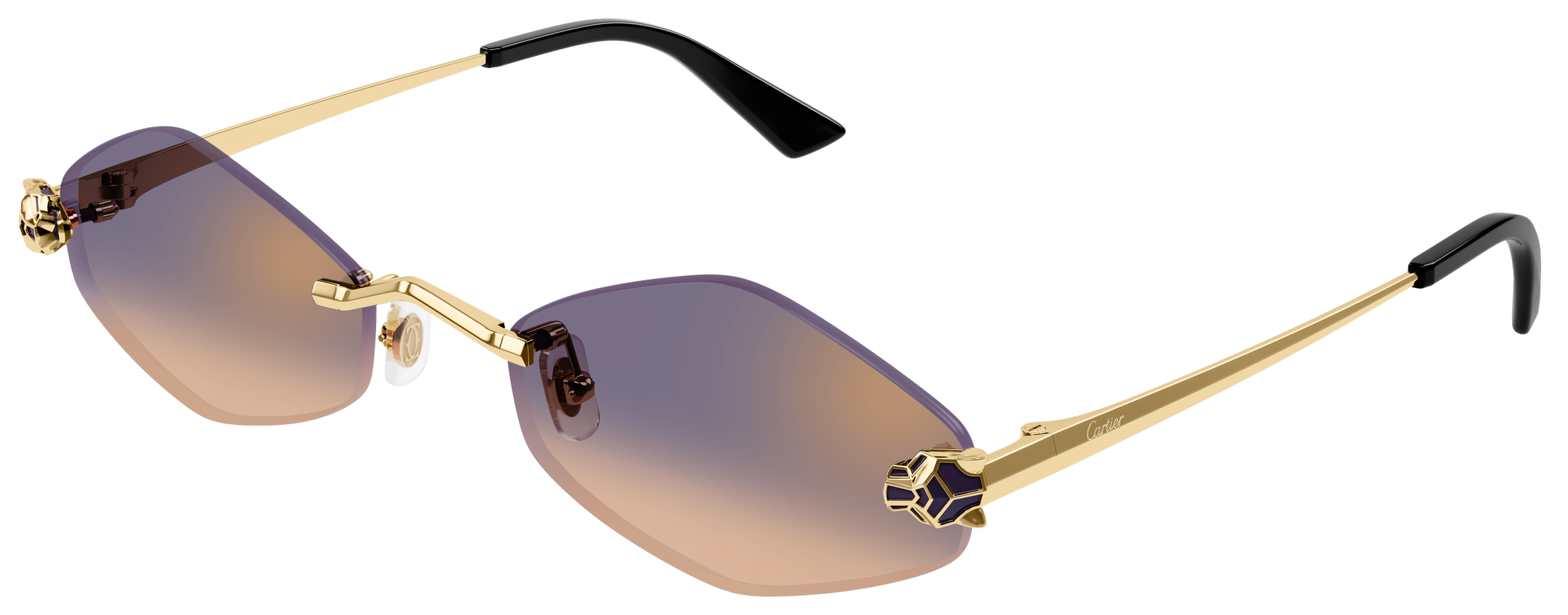 Color_CT0433S-005 - GOLD - VIOLET