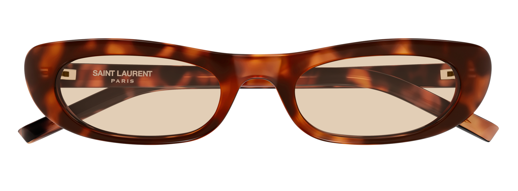 Color_SL 557 SHADE-008 - HAVANA - BROWN