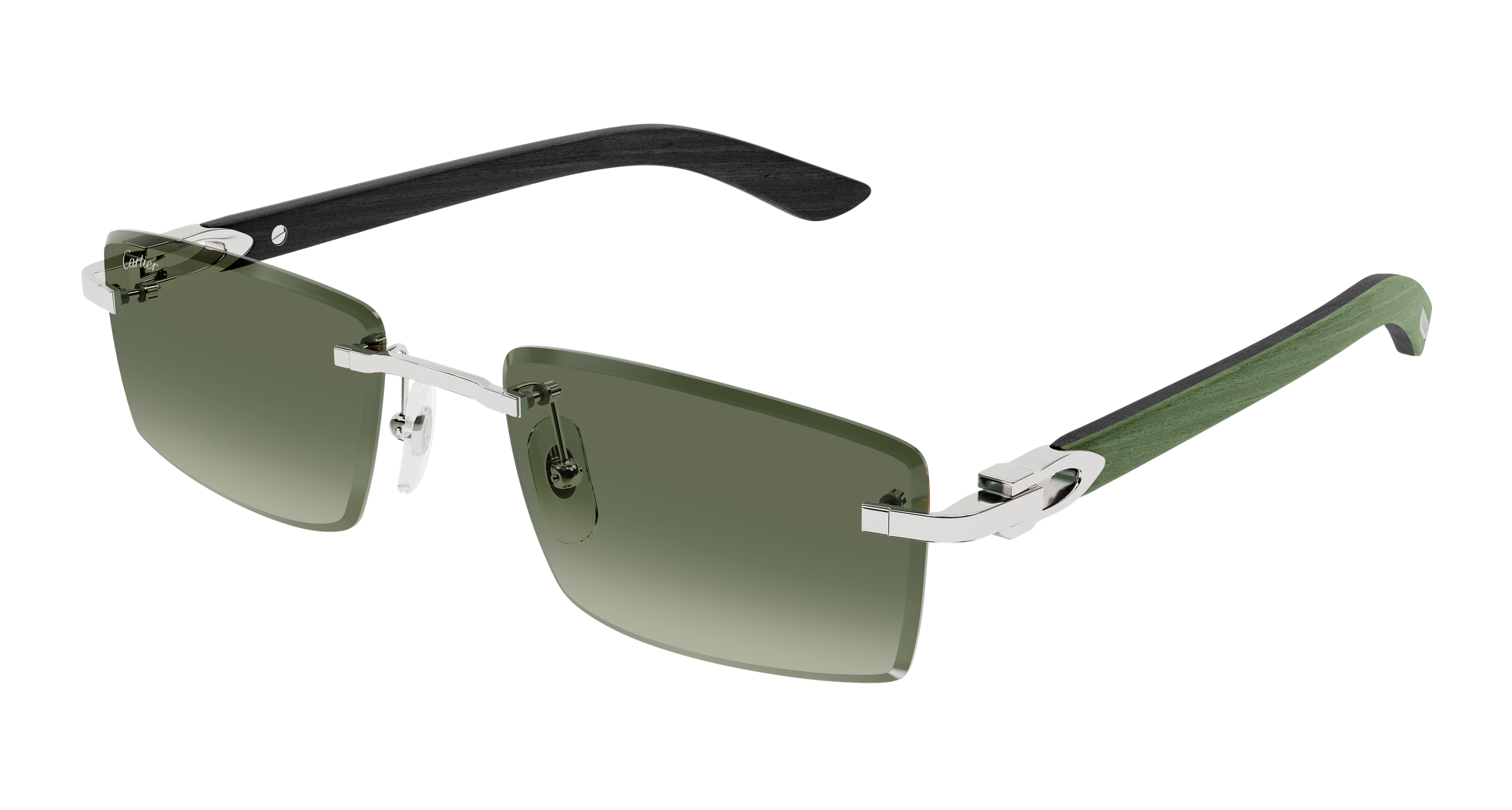 Color_CT0582S-005 - SILVER - GREEN