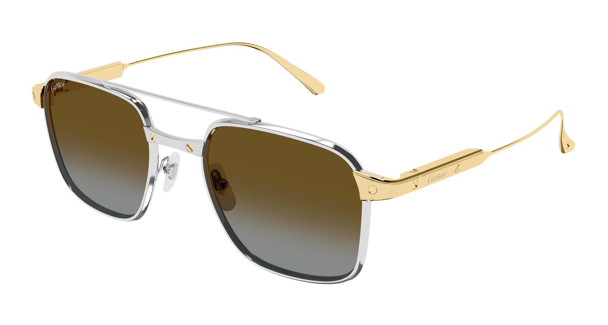 Color_CT0610S-003 - SILVER - GOLD - BROWN