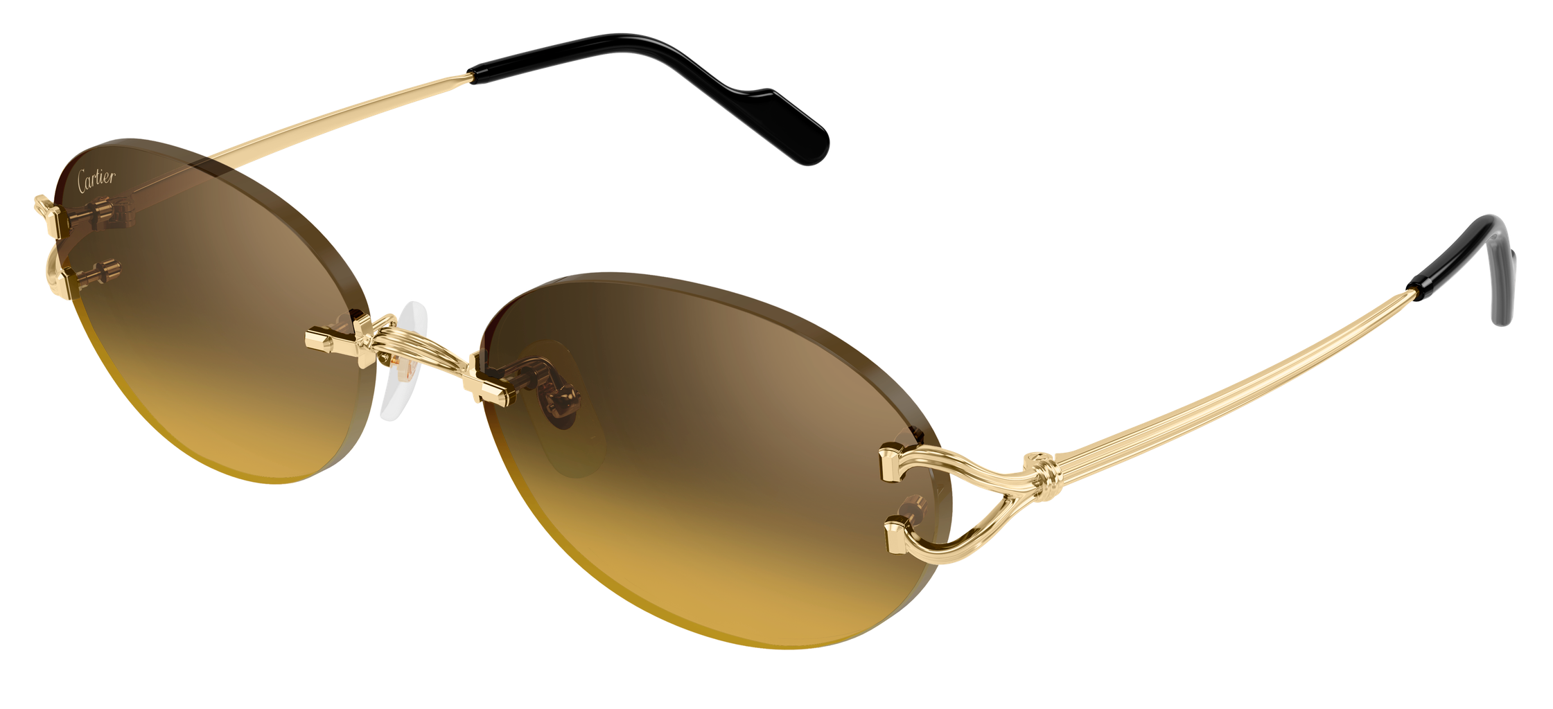 Color_CT0551S-009 - GOLD - BROWN