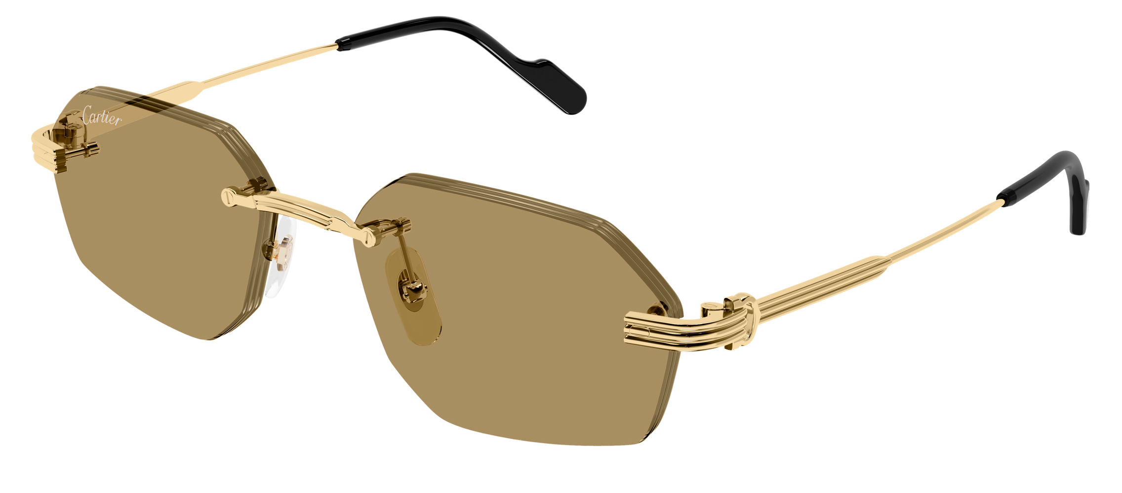 Color_CT0616S-002 - GOLD - BROWN