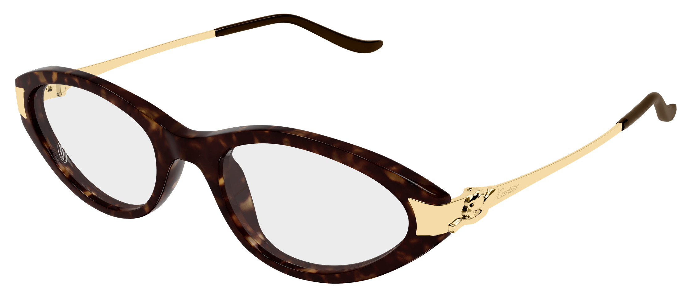 Color_CT0633O-002 - HAVANA - GOLD - TRANSPARENT