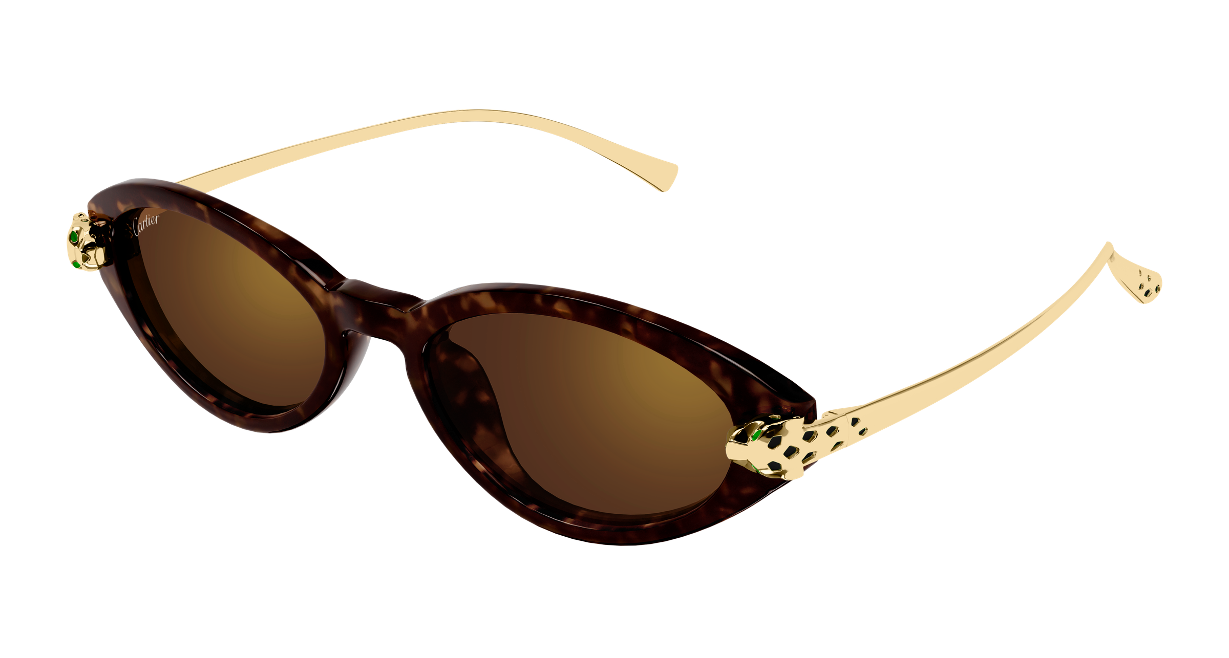 Color_CT0634S-002 - HAVANA - GOLD - BROWN