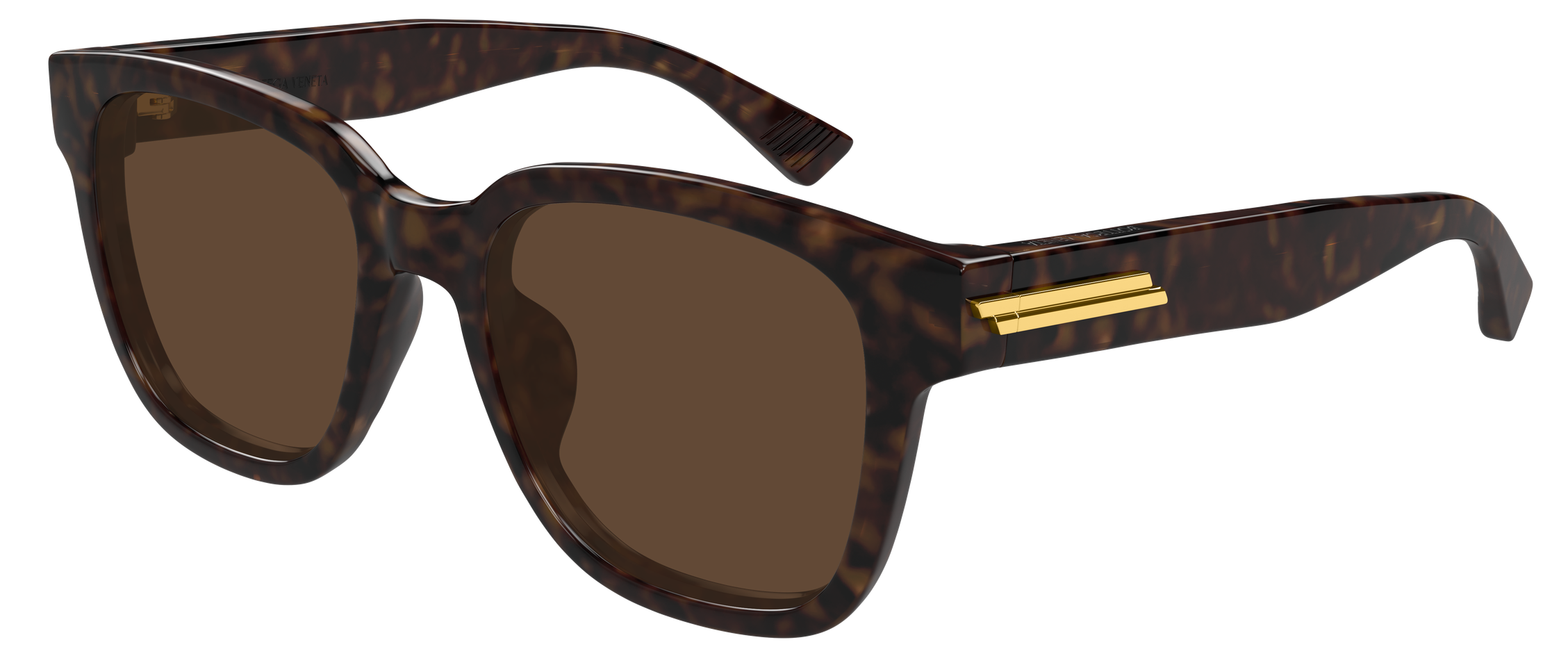 Color_BV1461SK-002 - HAVANA - HAVANA - BROWN