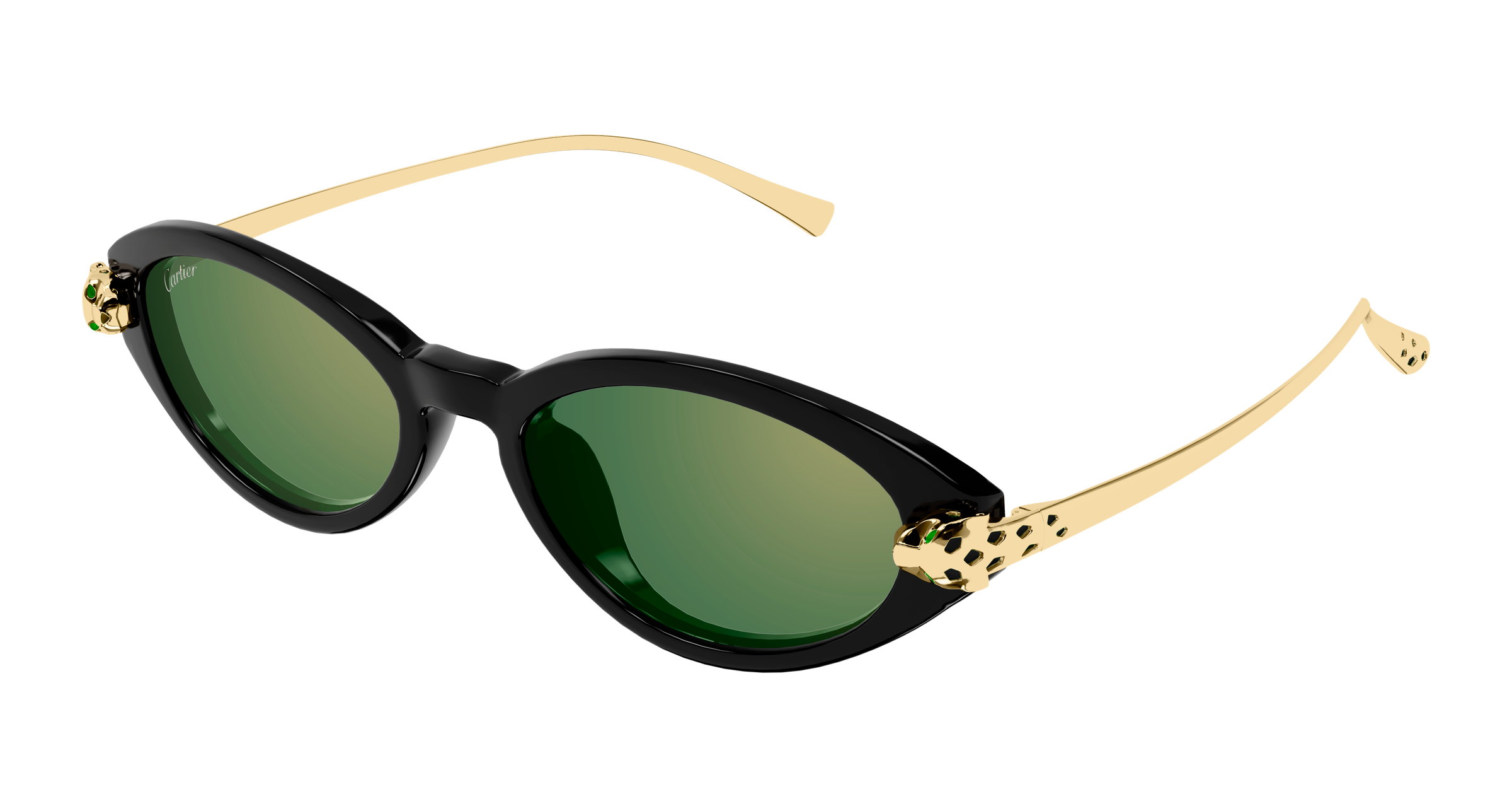 Color_CT0634S-003 - BLACK - GOLD - GREEN