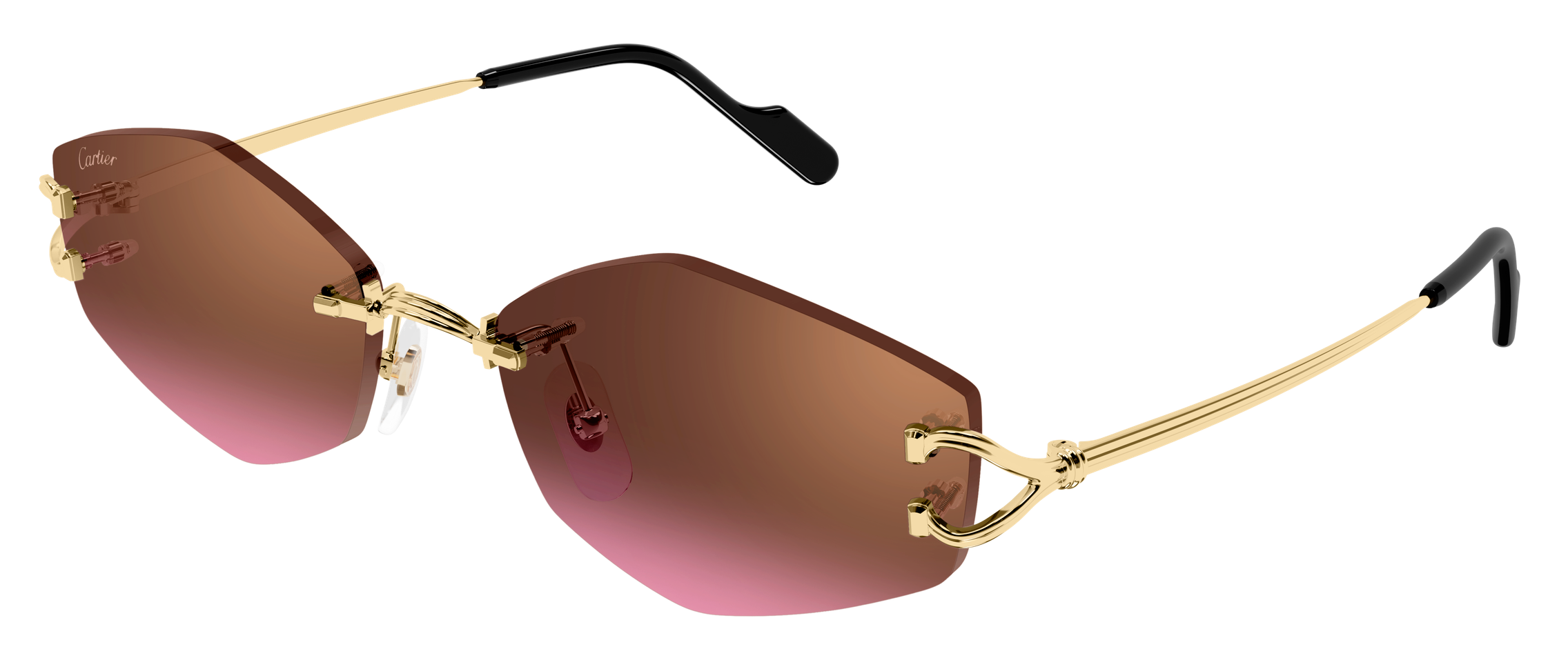 Color_CT0620S-004 - GOLD - BROWN (AR)