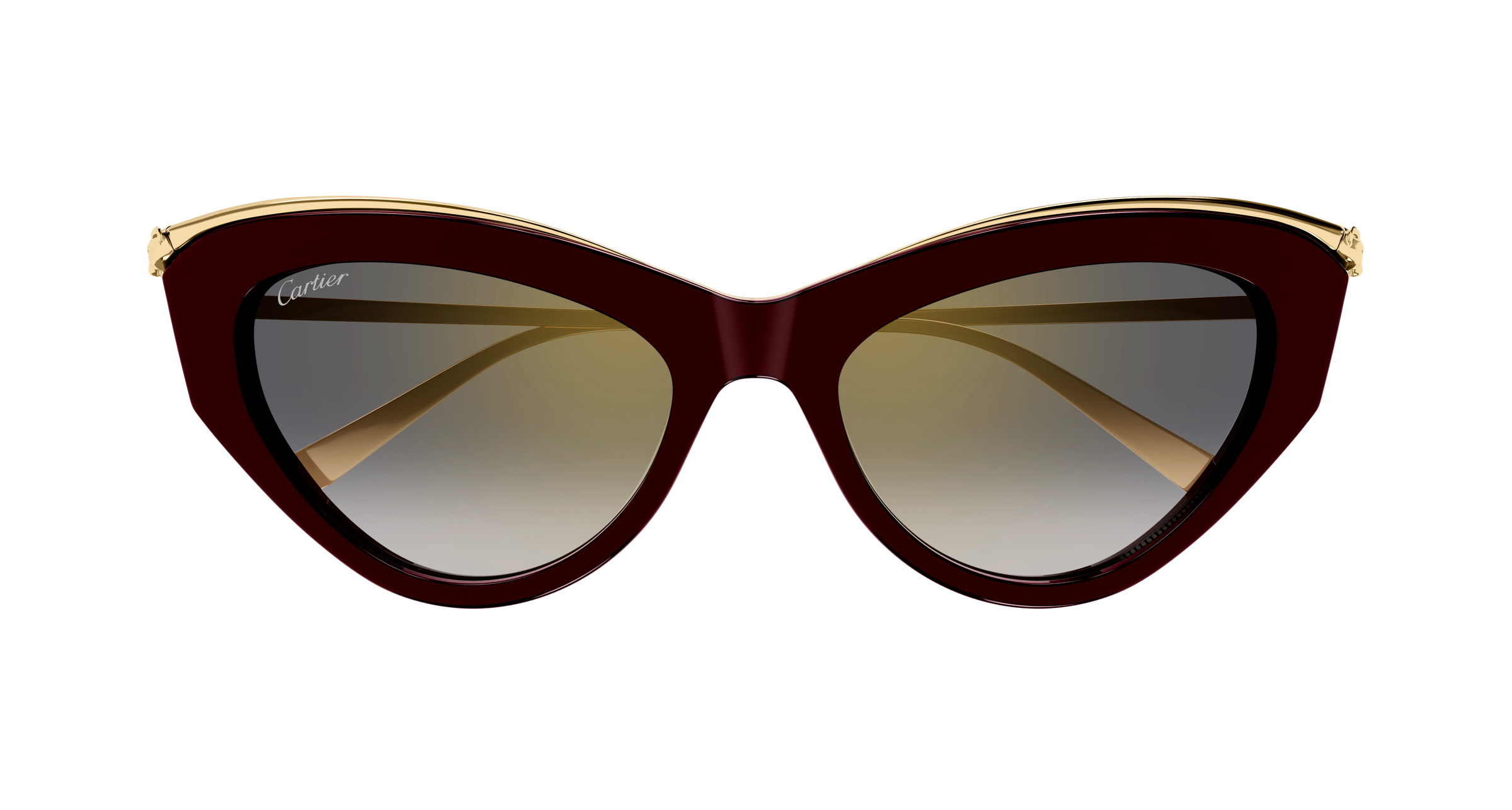 Color_CT0596S-004 - BURGUNDY - GREY