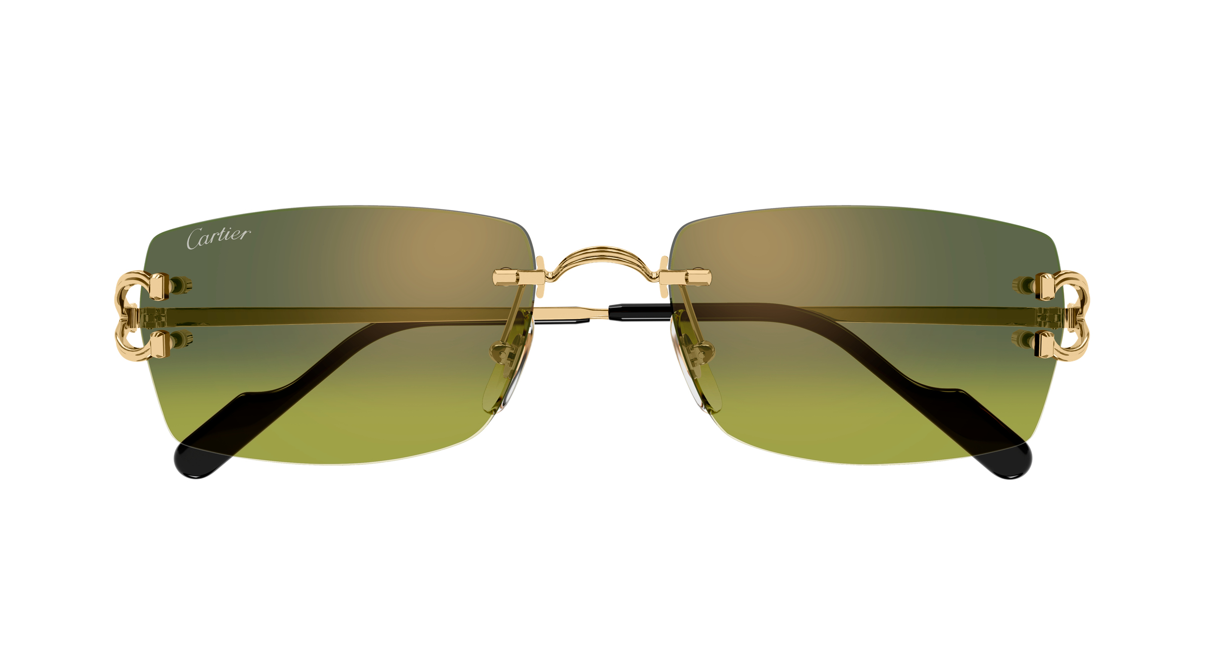 Color_CT0550S-006 - GOLD - GREEN