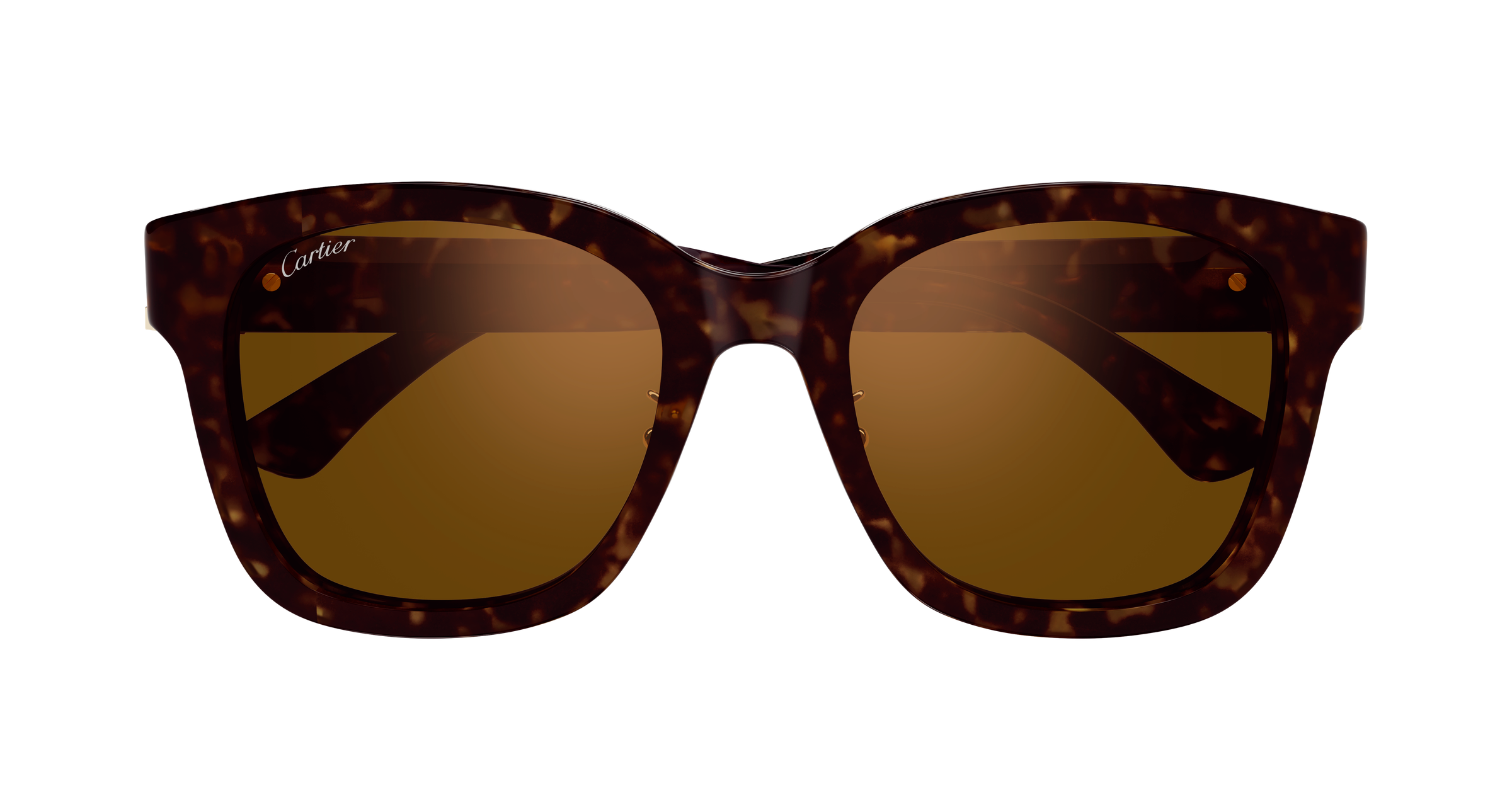 Color_CT0589SA-002 - HAVANA - BROWN