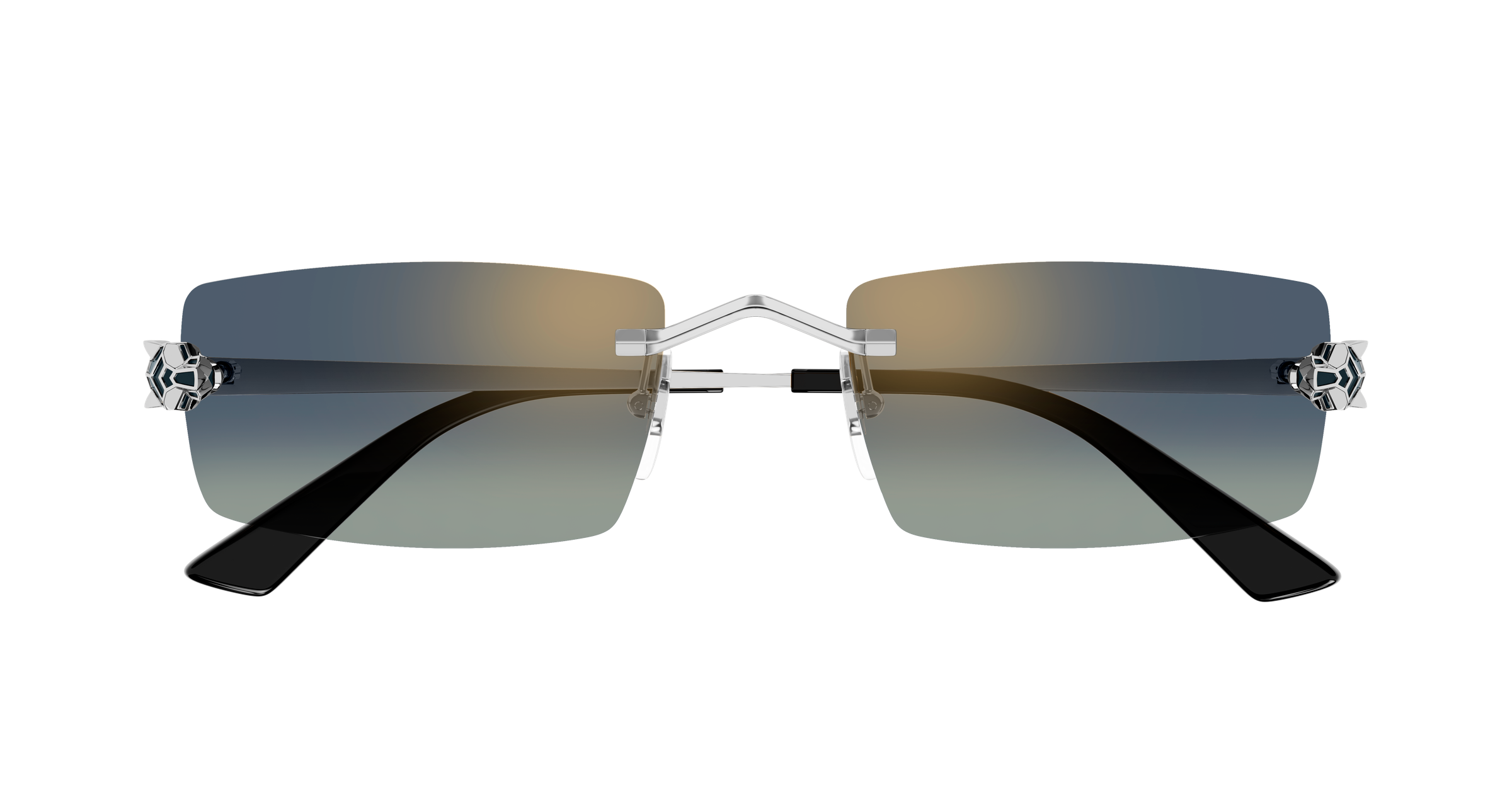 Color_CT0598S-003 - SILVER - BLUE